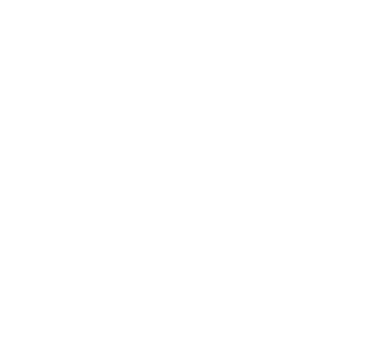 Blue Bird Designs
